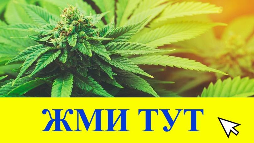 Купить наркотики в Туймазы