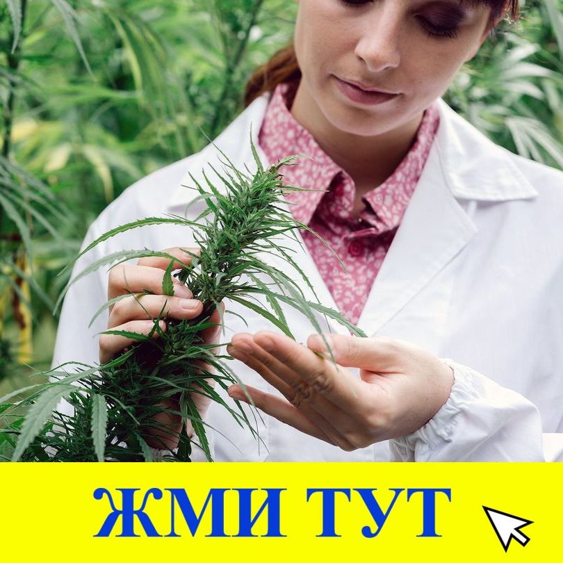 Купить наркотики в Туймазы